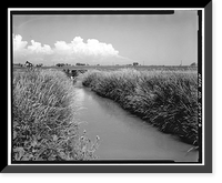 Brantner Ditch, South Platte River, Brighton vicinity, Adams County, CO - 6 Classic, Antique Wall Art