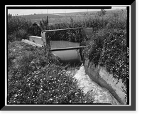 Brantner Ditch, South Platte River, Brighton vicinity, Adams County, CO - 7, Antique Print