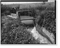 Brantner Ditch, South Platte River, Brighton vicinity, Adams County, CO - 7, Antique Print