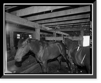 Ritter Ranch, Barn, Old Dolores Highway, Dolores vicinity, Montezuma County, CO - 14, Antique Poster
