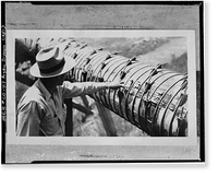 Montezuma Valley Irrigation Company System, Dolores vicinity, Montezuma County, CO - 6 Classic, Antique Poster