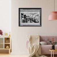 Montezuma Valley Irrigation Company System, Dolores vicinity, Montezuma County, CO - 6 Classic, Antique Poster