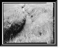Howard Ditch, East Boulder Community Park, Boulder, Boulder County, CO - 5, Antique Wall Art