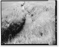 Howard Ditch, East Boulder Community Park, Boulder, Boulder County, CO - 5, Antique Wall Art