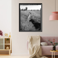 Howard Ditch, East Boulder Community Park, Boulder, Boulder County, CO - 6, Antique Print