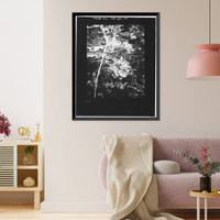 Merritt Parkway, Beginning in Greenwich & running 38 miles to Strat, Greenwich, Fairfield County, CT - 119, Antique Poster