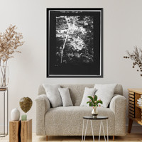 Merritt Parkway, Beginning in Greenwich & running 38 miles to Strat, Greenwich, Fairfield County, CT - 119, Antique Poster