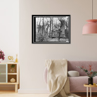 General John Mason House, Analostan Island or Theodore Roosevelt Island, Washington, District of Columbia, DC - 15, Antique Wall Art