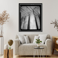 Lincoln Memorial, West Potomac Park, Washington, District of Columbia, DC - 194 Classic, Antique Wall Art