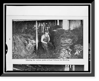 Garrett Snuff Mill, Route 82, Yorklyn, New Castle County, DE - 19 Classic, Antique Print