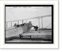 Mascot cat "Spark Plug" on plane, Antique Print