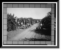 California Citrus Heritage Recording Project, Riverside, Riverside County, CA - 11, Antique Poster