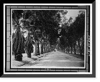Historic Framed Print, California Citrus Heritage Recording Project, Riverside, Riverside County, CA - 17,  17-7/8" x 21-7/8"