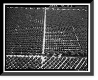Historic Framed Print, Arlington Heights Citrus Landscape, Southwestern portion of city of Riverside, Riverside, Riverside County, CA - 2,  17-7/8" x 21-7/8"