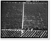 Historic Framed Print, Arlington Heights Citrus Landscape, Southwestern portion of city of Riverside, Riverside, Riverside County, CA - 2,  17-7/8" x 21-7/8"