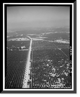 Historic Framed Print, Arlington Heights Citrus Landscape, Southwestern portion of city of Riverside, Riverside, Riverside County, CA - 4,  17-7/8" x 21-7/8"