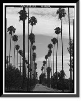 Historic Framed Print, Arlington Heights Citrus Landscape, Southwestern portion of city of Riverside, Riverside, Riverside County, CA - 13,  17-7/8" x 21-7/8"