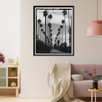 Historic Framed Print, Arlington Heights Citrus Landscape, Southwestern portion of city of Riverside, Riverside, Riverside County, CA - 13,  17-7/8" x 21-7/8"