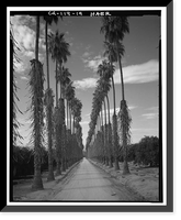 Arlington Heights Citrus Landscape, Southwestern portion of city of Riverside, Riverside, Riverside County, CA - 14, Vintage Wall Art
