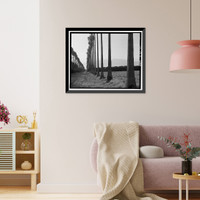 Historic Framed Print, Arlington Heights Citrus Landscape, Southwestern portion of city of Riverside, Riverside, Riverside County, CA - 15,  17-7/8" x 21-7/8"