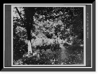 Historic Architecture - Dumbarton Oaks Park - Historic Wall Art Gift
