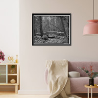 Bridalveil Fall Bridge No. 1, Spanning Bridalveil Creek on carriage road, Yosemite Village, Mariposa County, CA - 6 Classic, Vintage Print