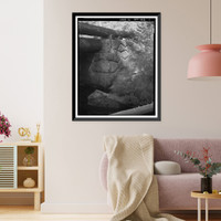 Bridalveil Creek Bridge, Spanning Bridalveil Creek on Glacier Point Road, Yosemite Village, Mariposa County, CA, Vintage Print