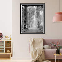 Historic Framed Print, Big Oak Flat Road, Between Big Oak Flat Entrance & Merced River, Yosemite Village, Mariposa County, CA - 9,  17-7/8" x 21-7/8"