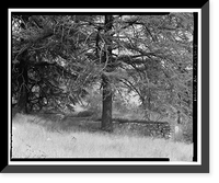 Historic Framed Print, Santa Ana River Hydroelectric System, Redlands vicinity, San Bernardino County, CA - 5,  17-7/8" x 21-7/8"