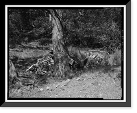 Salinas River Project, Cuesta Tunnel, Southeast of U.S. 101, San Luis Obispo vicinity, San Luis Obispo County, CA - 16, Antique Wall Art