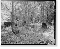 Brookside Coal Mine, Washed Coal Storage Bins (Foundation), Mount Olive Road, North of Five Mile Creek Bridge, Brookside, Jefferson County, AL, Vintage Poster