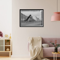 Historic Framed Print, Drummond Coal Company Cedrum Mine, 8750 Pit, County Road 124, Townley, Walker County, AL - 7,  17-7/8" x 21-7/8"