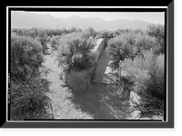 Historic Framed Print, Manzanar War Relocation Center, Reservoir, Independence vicinity, Inyo County, CA - 5,  17-7/8" x 21-7/8"
