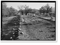 Manzanar War Relocation Center, Chicken Ranch, Independence vicinity, Inyo County, CA - 6, Vintage Print