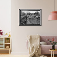 Manzanar War Relocation Center, Chicken Ranch, Independence vicinity, Inyo County, CA - 6, Vintage Print