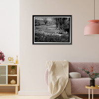 Manzanar War Relocation Center, Merritt Park, Independence vicinity, Inyo County, CA - 2, Vintage Print