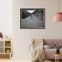 Fall River Road, Between Estes Park & Fall River Pass, Estes Park vicinity, Larimer County, CO - 5, Antique Poster