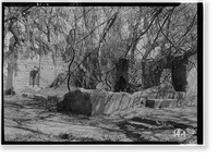 Retreat Plantation, Slave Hospital & Greenhouse, Saint Simons Island, Glynn County, GA - 3, Vintage Print