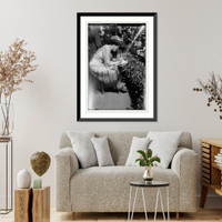 Farrar - 19, Vintage Print