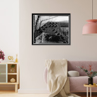 County Road 130 Bridge, Spanning Gulf Creek, Rising Fawn vicinity, Dade County, GA - 5, Vintage Print