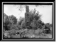 Retreat Plantation, House (Ruins), Saint Simons Island, Glynn County, GA Classic, Vintage Print