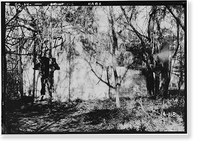 Historic Framed Print, Santo Domingo Mission (Ruins), Near Altamaha Canal (River), Broadfield vicinity, Glynn County, GA - 2,  17-7/8" x 21-7/8"