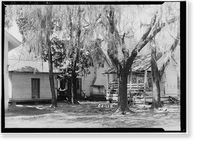 Epping House, Ridgeville, McIntosh County, GA - 2, Vintage Print