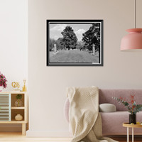 Melan Arch Bridge, Emma Slater Park (Moved from Dry Run Creek), Rock Rapids vicinity, Lyon County, IA - 2, Vintage Print