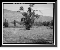 Historic Framed Print, Sainsevain Property, 14804 Summit Avenue, Fontana, San Bernardino County, CA - 5,  17-7/8" x 21-7/8"