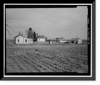 Historic Framed Print, Beierle Farm, Hudson Road & Ninety-Sixth Avenue, Denver, Denver County, CO - 2,  17-7/8" x 21-7/8"