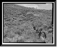 Snake River Ditch, Headgate on north bank of Snake River, Dillon vicinity, Summit County, CO - 13, Antique Poster
