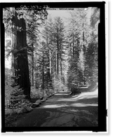 Historic Framed Print, Big Oak Flat Road, Between Big Oak Flat Entrance & Merced River, Yosemite Village, Mariposa County, CA - 13,  17-7/8" x 21-7/8"