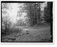 Wawona Road, Between South Entrance & Yosemite Valley, Yosemite Village, Mariposa County, CA - 11, Antique Print