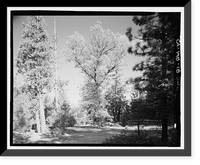 Wawona Road, Between South Entrance & Yosemite Valley, Yosemite Village, Mariposa County, CA - 13, Antique Wall Art